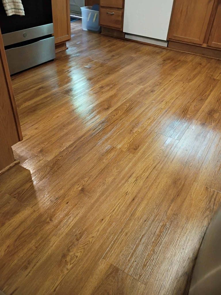Freshly cleaned, glossy hardwood floor